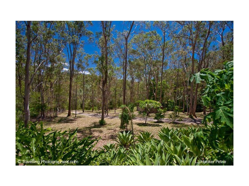 77 Whiteside Rd, Whiteside QLD 4503
