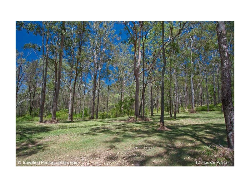 77 Whiteside Rd, Whiteside QLD 4503