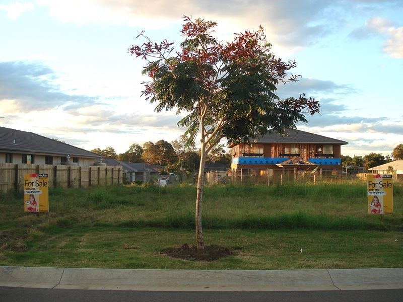 Carseldine QLD 4034