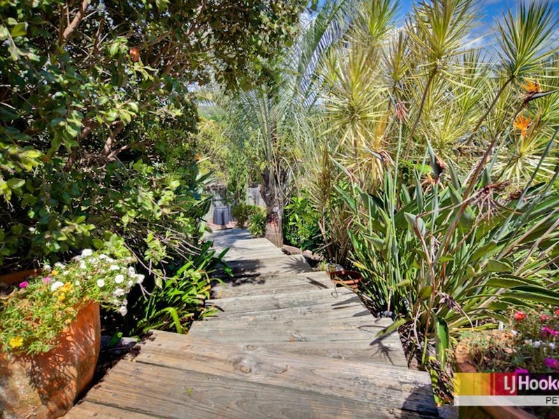 12 Mohr Court, Petrie QLD 4502