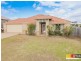 41 Ashford Circuit, Petrie QLD 4502