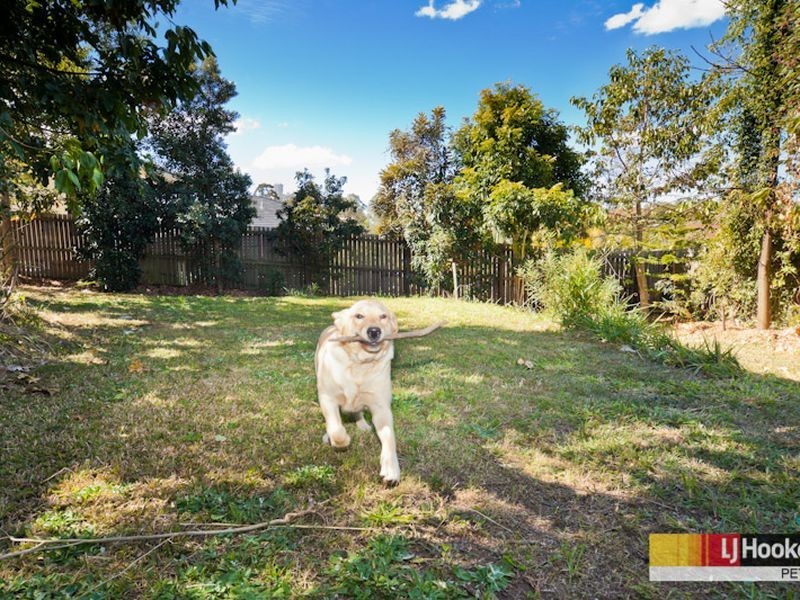 6 Webster Court, Petrie QLD 4502