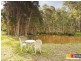 27 Hughes Road West, Dakabin QLD 4503