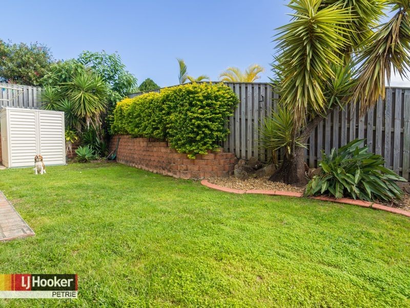 8 Turnbull Court, Petrie QLD 4502