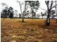 Lot 30 Birch Road, Wattle Camp QLD 4615