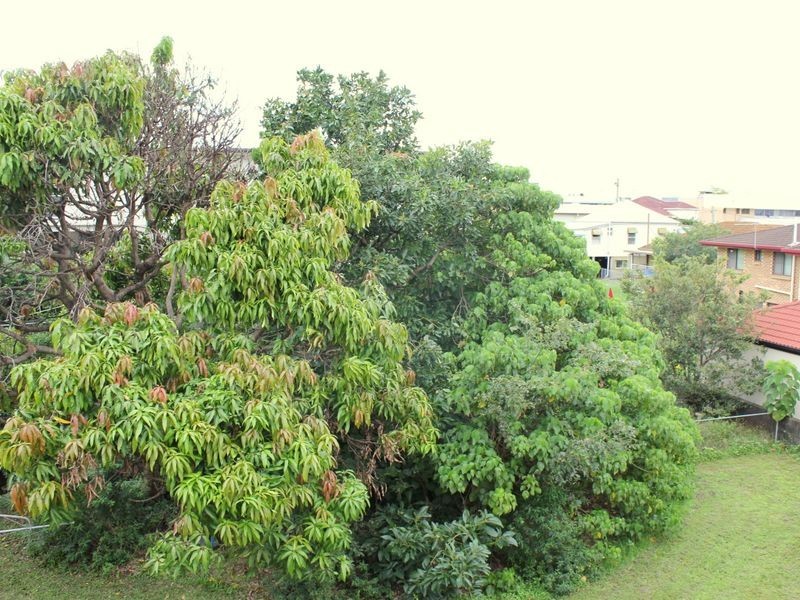 5/28 East Street, Lutwyche QLD 4030