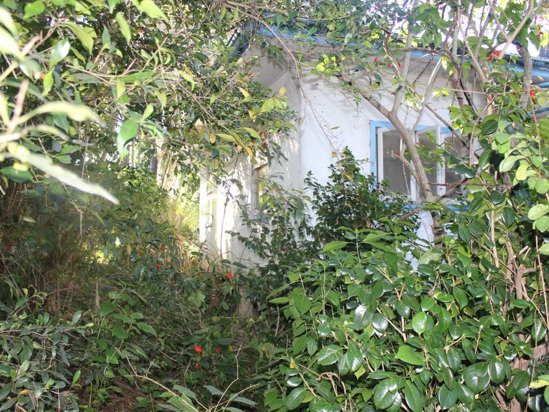 138 Dayboro Rd, Petrie QLD 4502