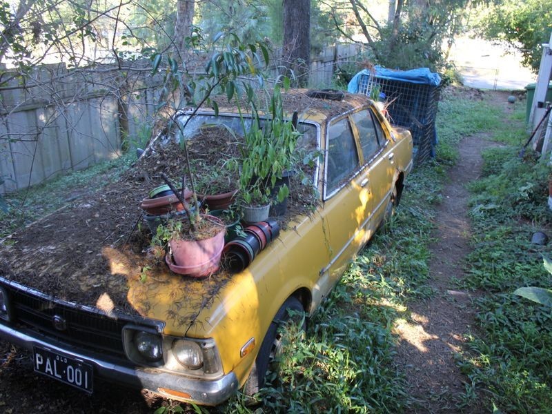 138 Dayboro Rd, Petrie QLD 4502