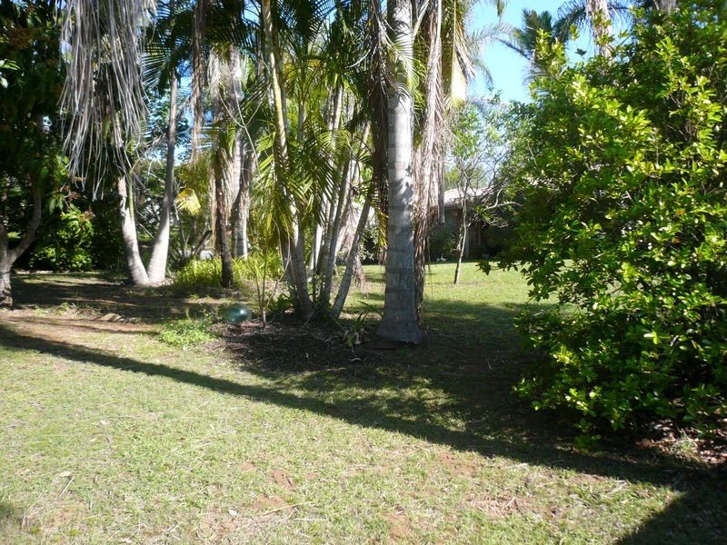 46 Young Street, Petrie QLD 4502