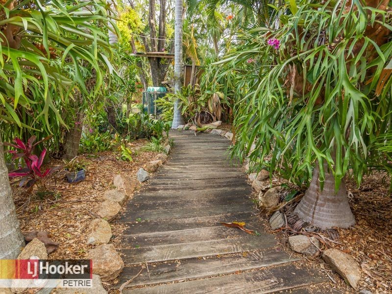 18 Joora Avenue, Petrie QLD 4502