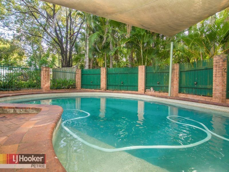 14 Hawk Street, Bald Hills QLD 4036