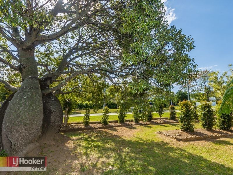 1 Houghton Street, Petrie QLD 4502