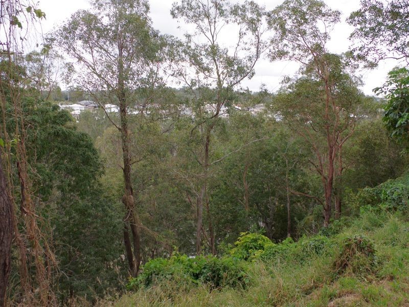 28 Morgan Road, Albany Creek QLD 4035