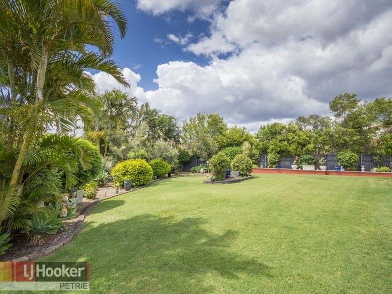 3 Greenside Place, Joyner QLD 4500