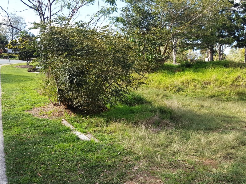 45 Dayboro Road, Petrie QLD 4502