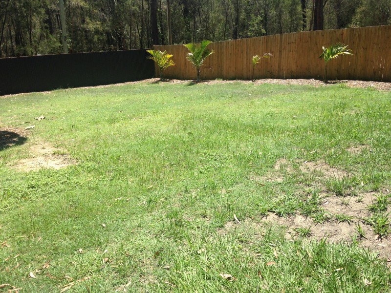 6 Monsoon Street, Russell Island QLD 4184