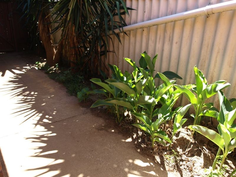 16 Maurice Street, Kallangur QLD 4503