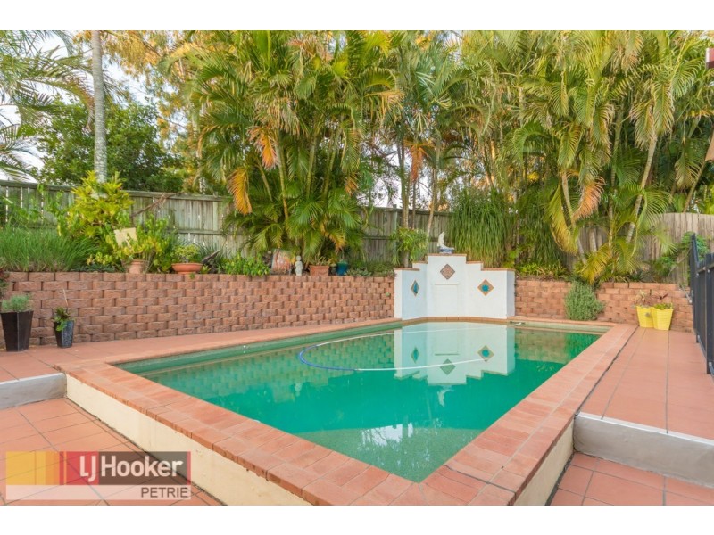 8 Kroning Court, Petrie QLD 4502