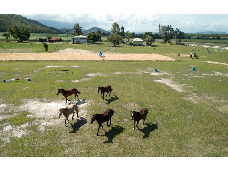 6613 Captain Cook Highway, Port Douglas QLD 4877