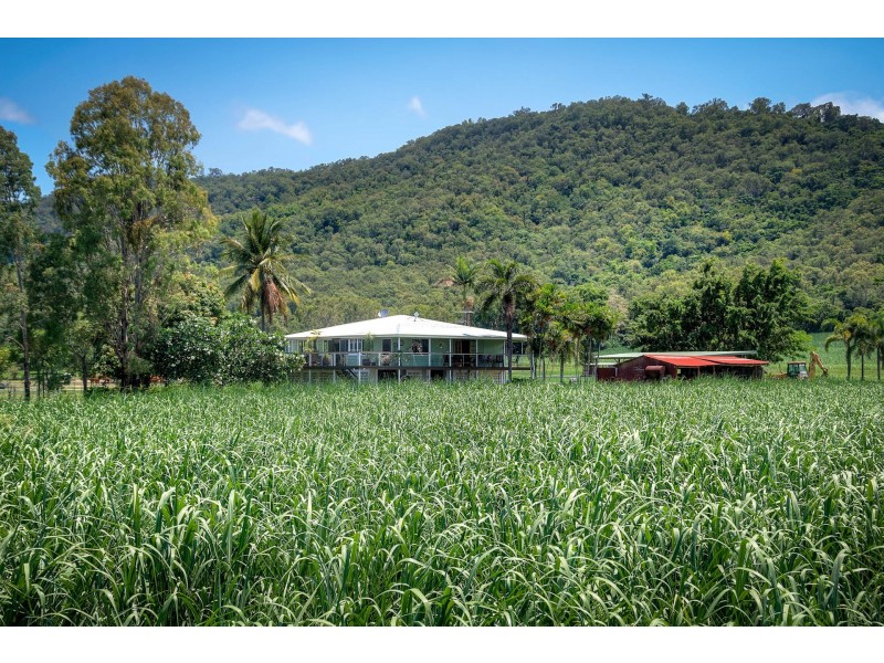 6613 Captain Cook Highway, Port Douglas QLD 4877