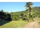 388 Finlayvale Road, Finlayvale, Mossman QLD 4873