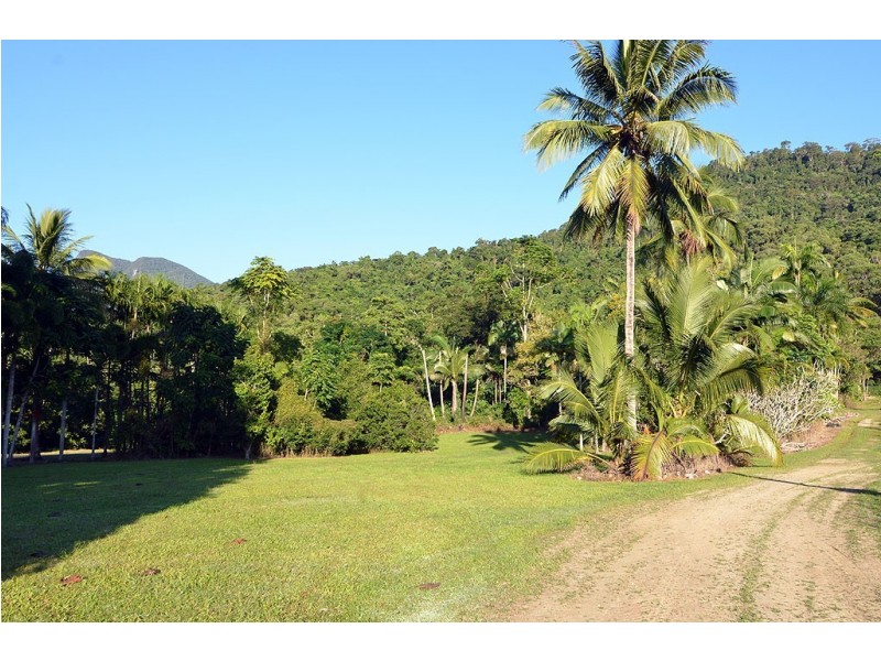 388 Finlayvale Road, Finlayvale, Mossman QLD 4873