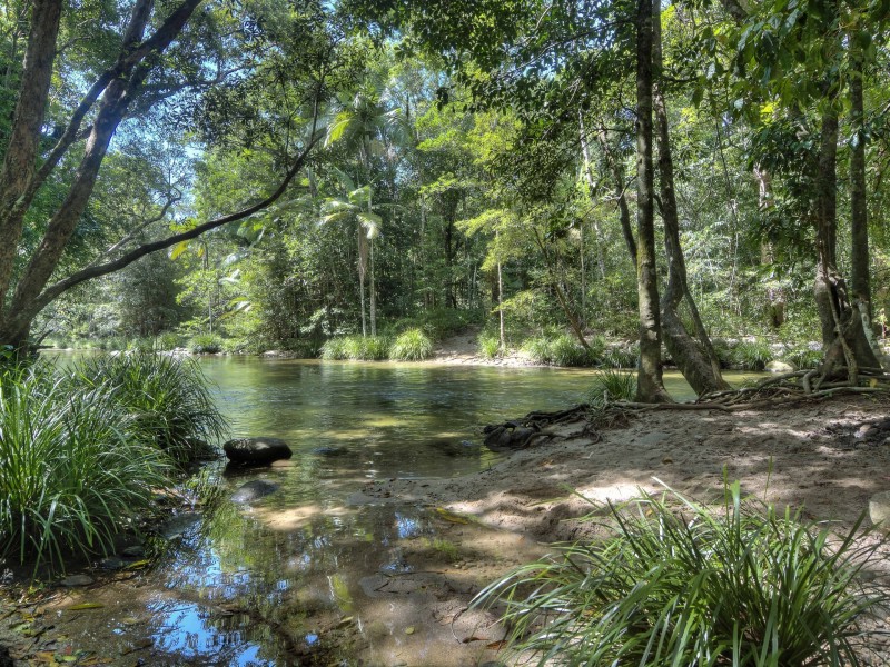 388 Finlayvale Road, Finlayvale, Mossman QLD 4873
