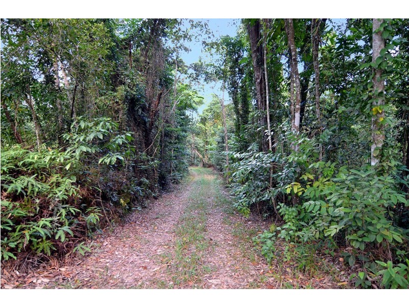 388 Finlayvale Road, Finlayvale, Mossman QLD 4873