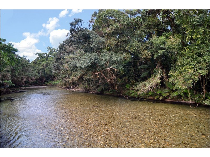 388 Finlayvale Road, Finlayvale, Mossman QLD 4873