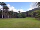 388 Finlayvale Road, Finlayvale, Mossman QLD 4873