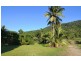 388 Finlayvale Road, Finlayvale, Mossman QLD 4873