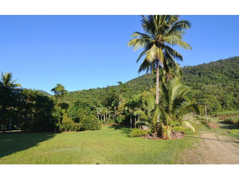 388 Finlayvale Road, Finlayvale, Mossman QLD 4873