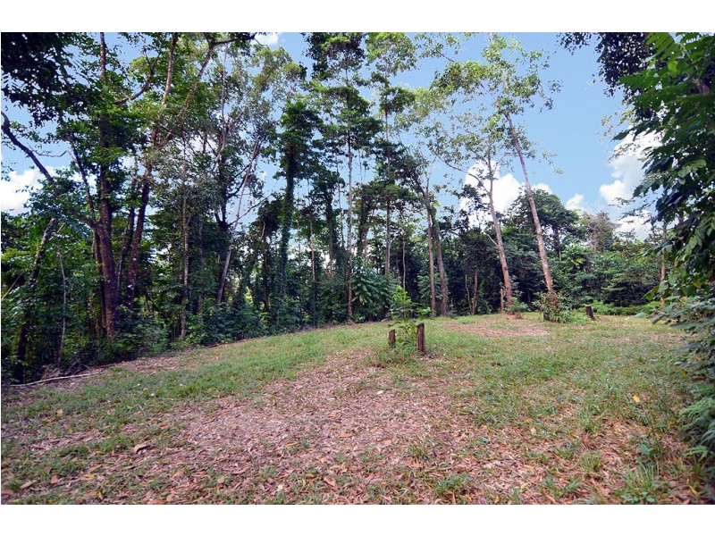 388 Finlayvale Road, Finlayvale, Mossman QLD 4873