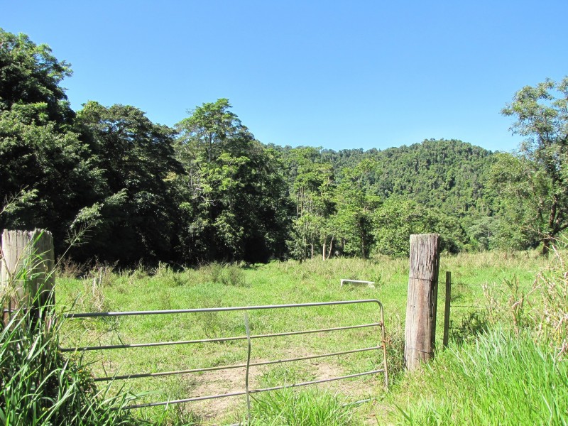 Lot 6 Stewart Creek Road, Stewart Creek Valley, Daintree QLD 4873