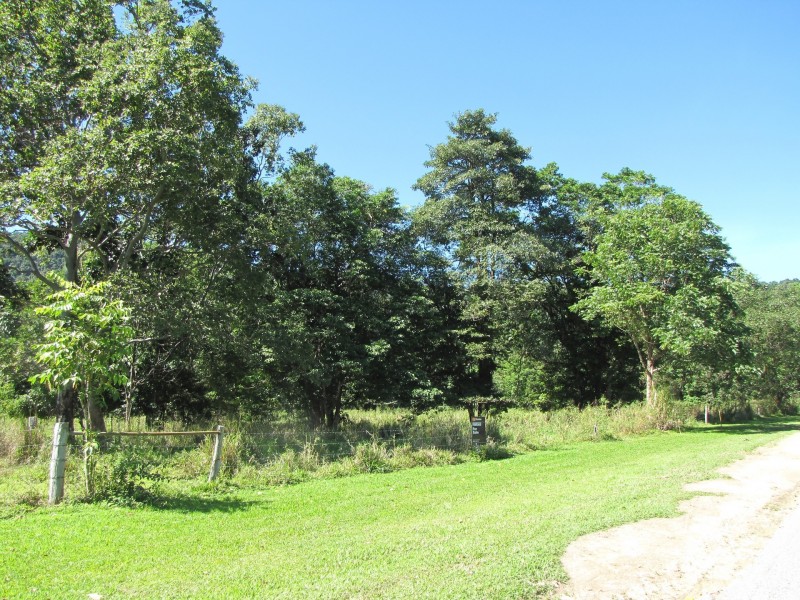 Lot 6 Stewart Creek Road, Stewart Creek Valley, Daintree QLD 4873