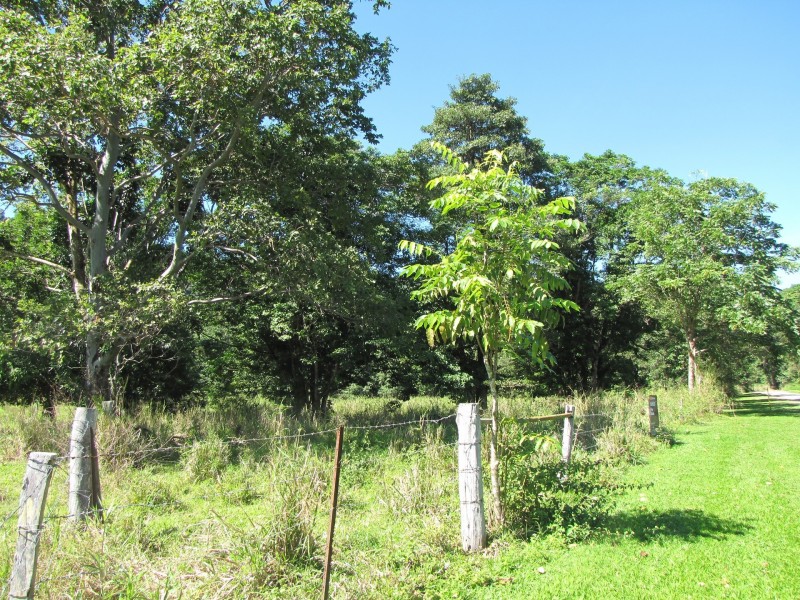 Lot 6 Stewart Creek Road, Stewart Creek Valley, Daintree QLD 4873