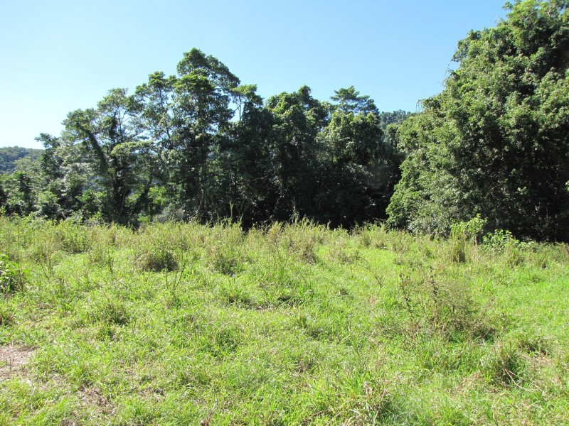 Lot 6 Stewart Creek Road, Stewart Creek Valley, Daintree QLD 4873