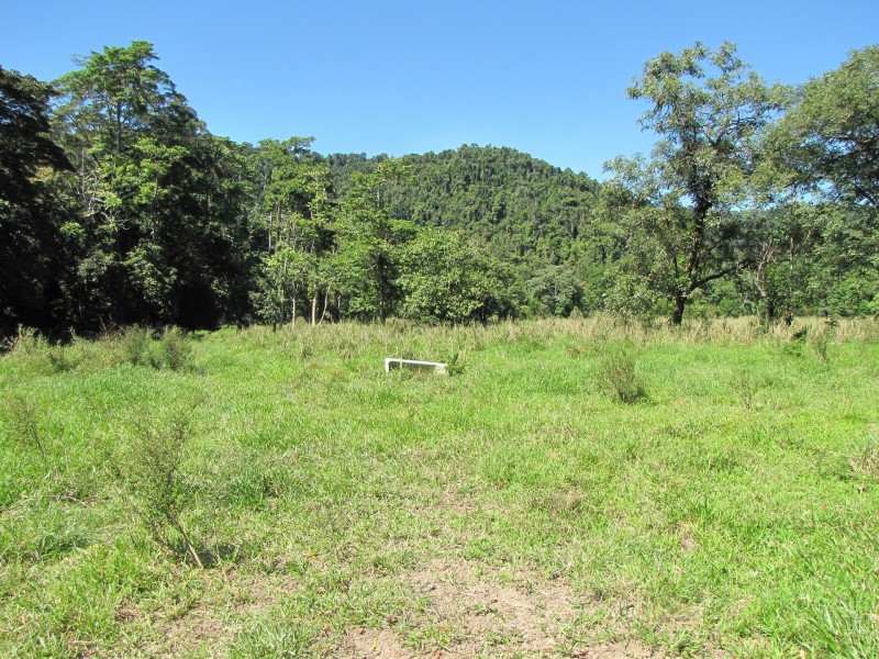 Lot 6 Stewart Creek Road, Stewart Creek Valley, Daintree QLD 4873