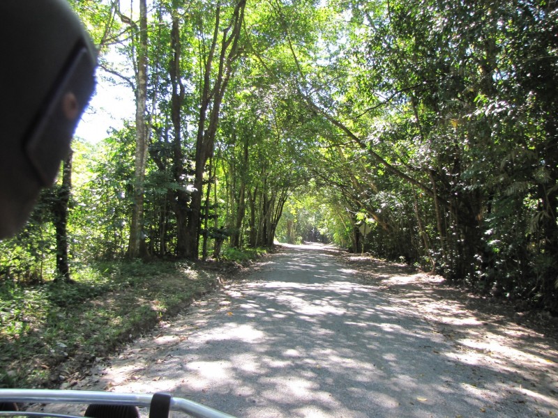 Lot 6 Stewart Creek Road, Stewart Creek Valley, Daintree QLD 4873
