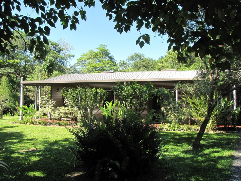 3351 Mossman Daintree Road, Daintree QLD 4873