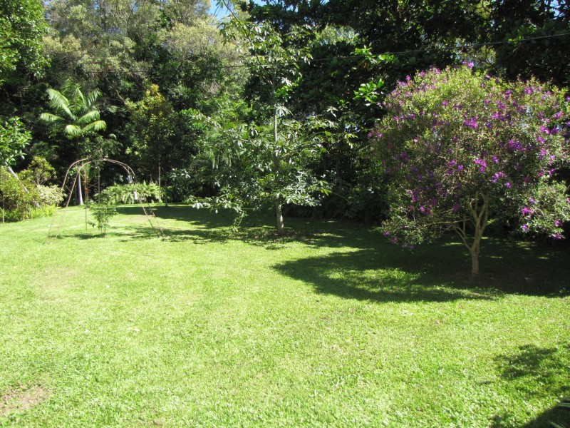 3351 Mossman Daintree Road, Daintree QLD 4873