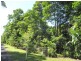 3351 Mossman Daintree Road, Daintree QLD 4873