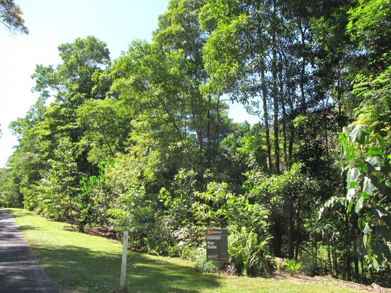 3351 Mossman Daintree Road, Daintree QLD 4873
