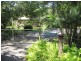 3351 Mossman Daintree Road, Daintree QLD 4873