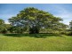 315 Mowbray River Road, Mowbray, Port Douglas QLD 4877