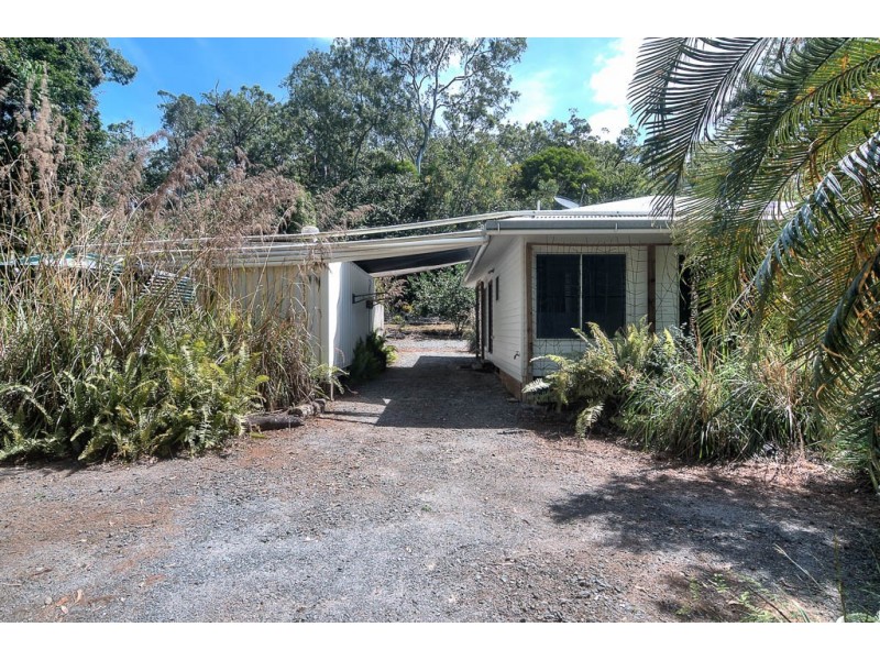 100 Quandong Road, Cow Bay, Daintree QLD 4873