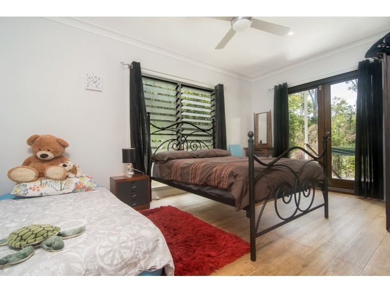 100 Quandong Road, Cow Bay, Daintree QLD 4873