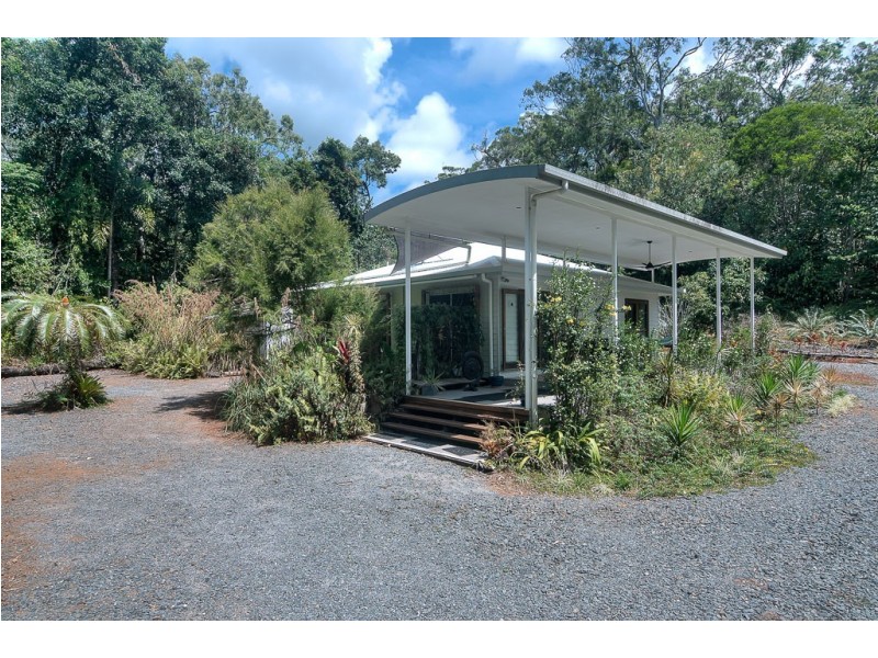 100 Quandong Road, Cow Bay, Daintree QLD 4873