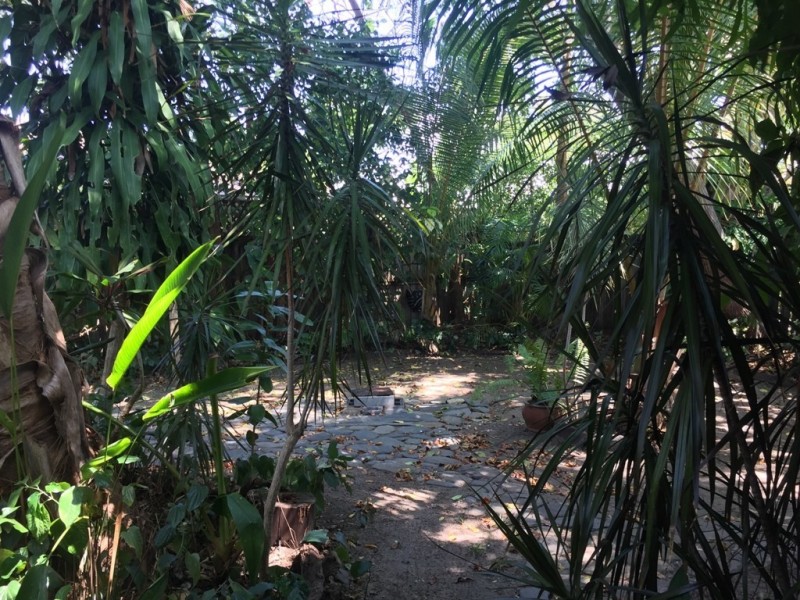 2/5 Helmet Street, Port Douglas QLD 4877