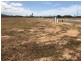 Lot 111 Bunjulu Close, Bonnie Doon QLD 4873
